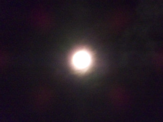 ���H�̖���