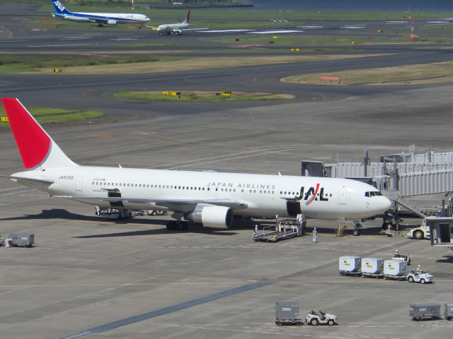 �f�J�f�J�Ɣ�s�@