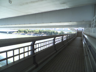 �k������쑤��