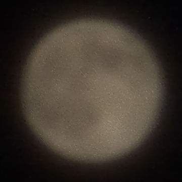 ���{�؂�o��