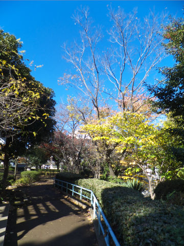 �ߏ��̌���