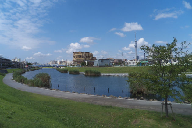 �쌴�Ɛ��V�ƃX�J�C�c���[��