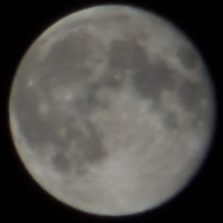 ���H�̖���