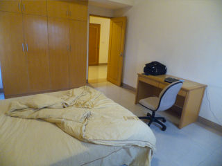 ���̕���