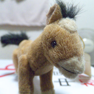 F550EXR�ł̃}�N���B�e