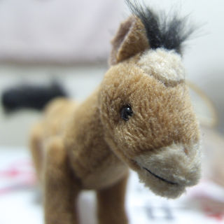 X10�ł̃}�N���B�e