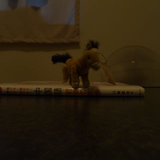 F550EXR�ł̒����ԘI���B�e