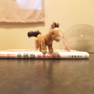 X10�ł̒����ԘI���B�e