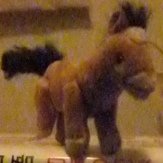 F550EXR�ł̍ō����x�B�e