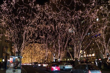 ���̃y�[�W�F���g