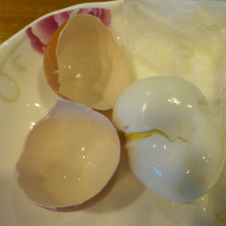 ���܂��ނ��܂���