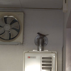 �����̐�